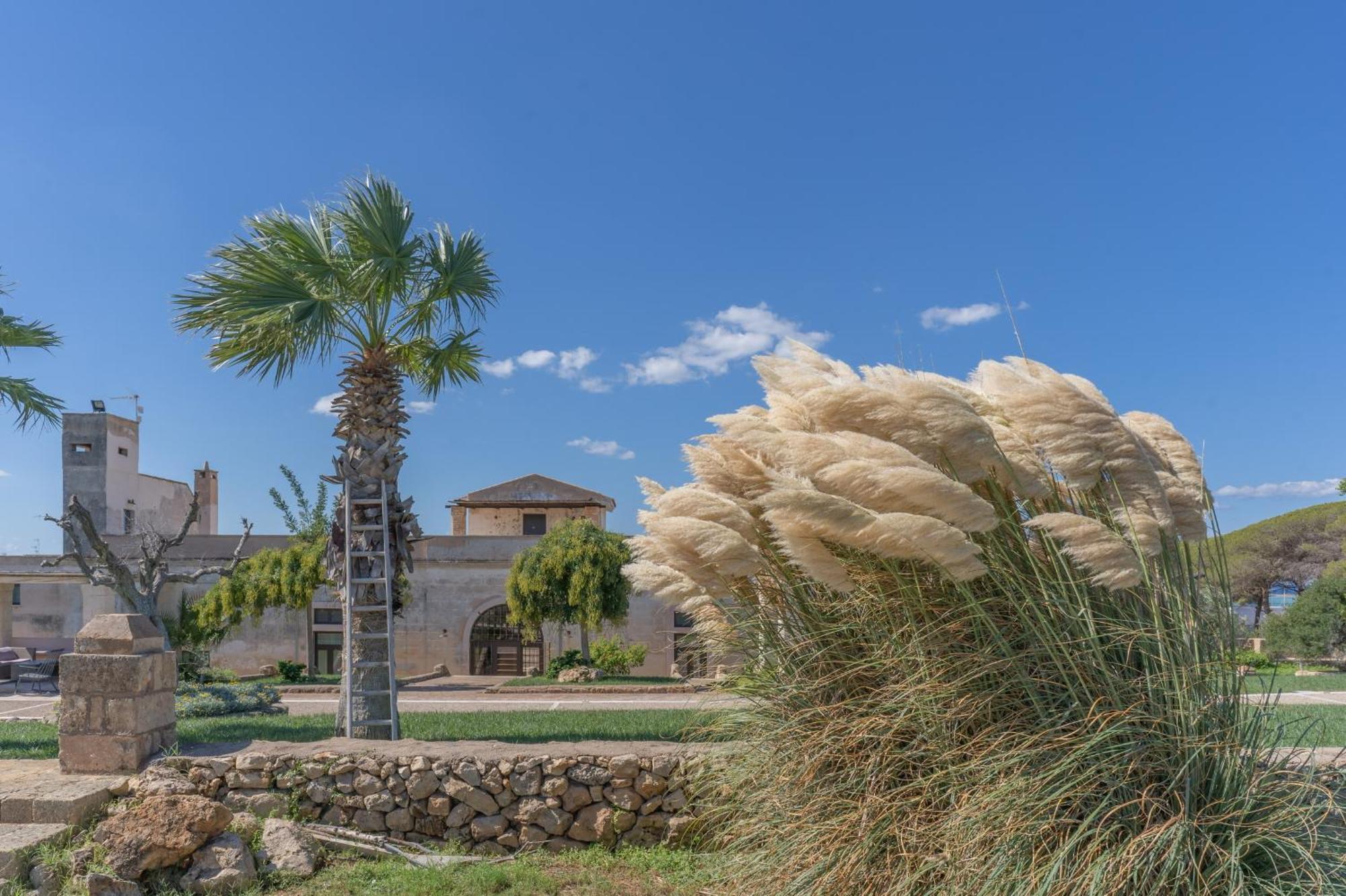 Masseria Casina Bellanova Porto Cesareo Exterior photo
